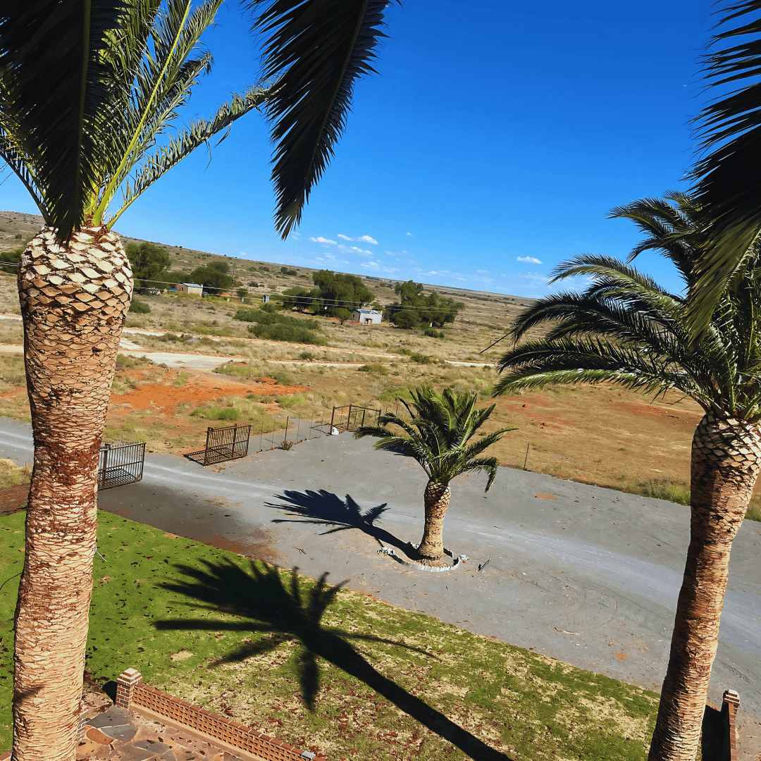 Commercial Property Clearing